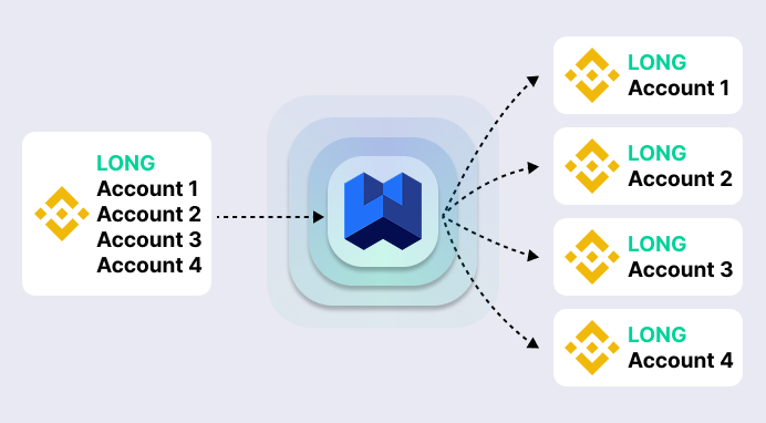 multiple asset management solution