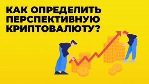 article-5-min.jpg