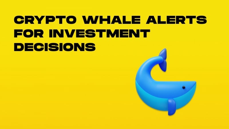 Crypto Whale Alerts And Their Impact On Markets