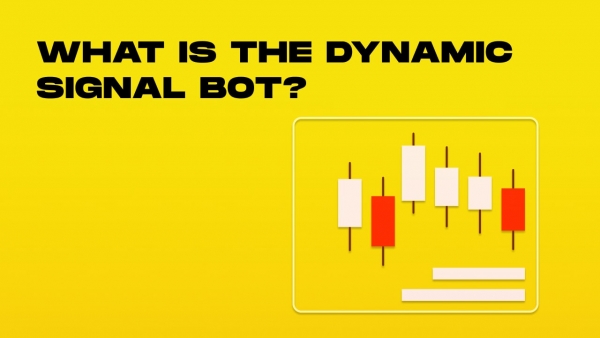 what is the dynamic signal bot-min.jpg