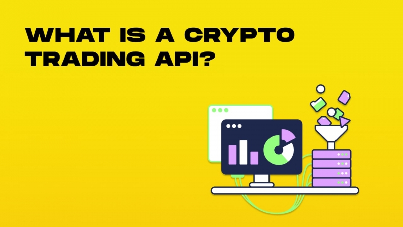 What Is a Crypto Trading API? Benefits, Use Cases & Guide