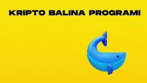 kripto balina programı-min.jpg