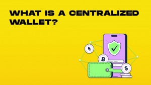 what is a centralized wallet-min.jpg