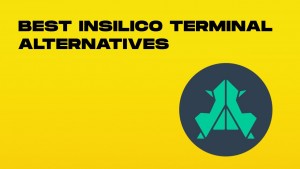 best insilico terminal alternatives-min.jpg