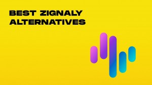 best zignaly alternatives-min.jpg