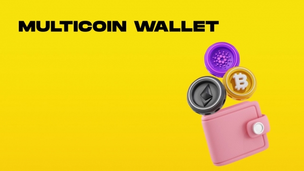 multicoin wallet-min.jpg