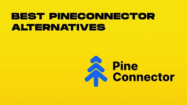 best pineconnector alternatives-min.jpg