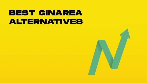 best ginarea alternatives-min.jpg