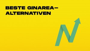 beste ginarea-alternativen-min.jpg
